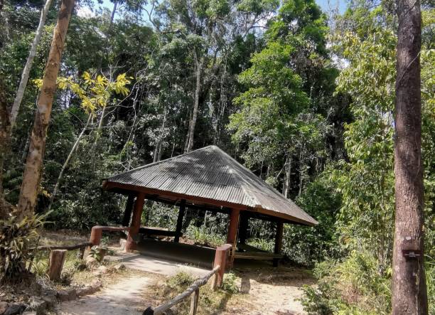 Educational session space at Forest Glen, Queensland